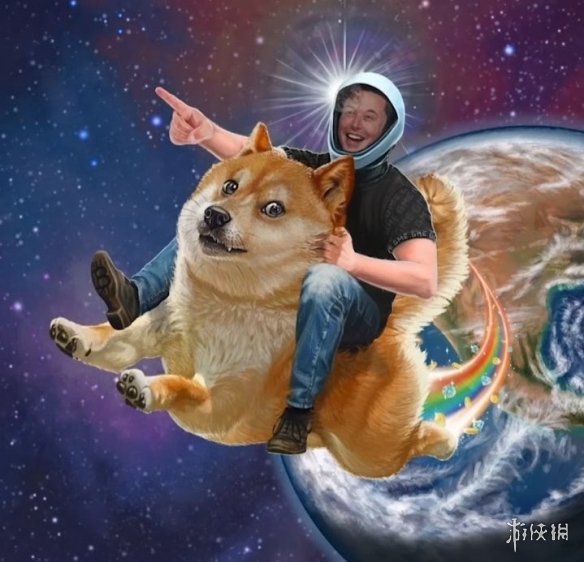 有类似doge币的吗(类似于狗狗币的小额币种)
