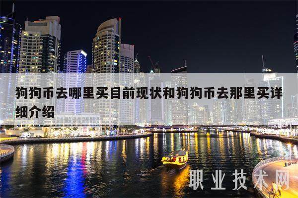 doge币使用什么通道的简单介绍