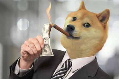 币圈doge是什么意思(dogecoin是什么币种)