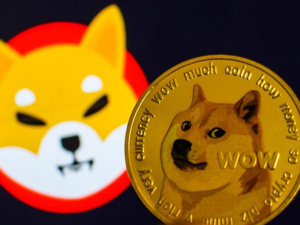 doge币钱包分析(doge币有投资价值吗)