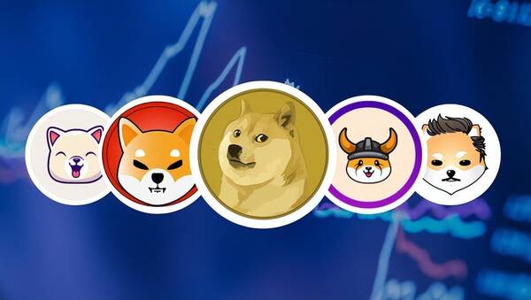 doge币网络(doge币是什么币种)