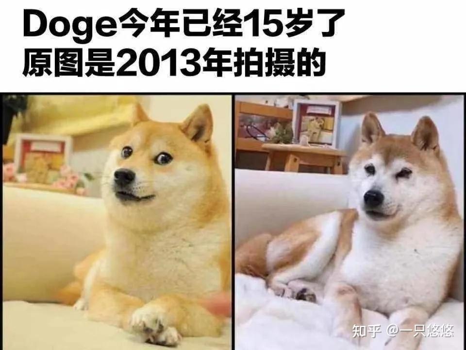 doge币市值历史(doge币最开始多少钱)