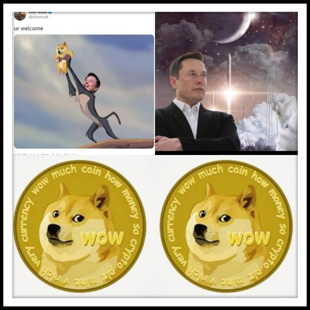 doge币是哪个国家(dogecoin狗狗币官网)