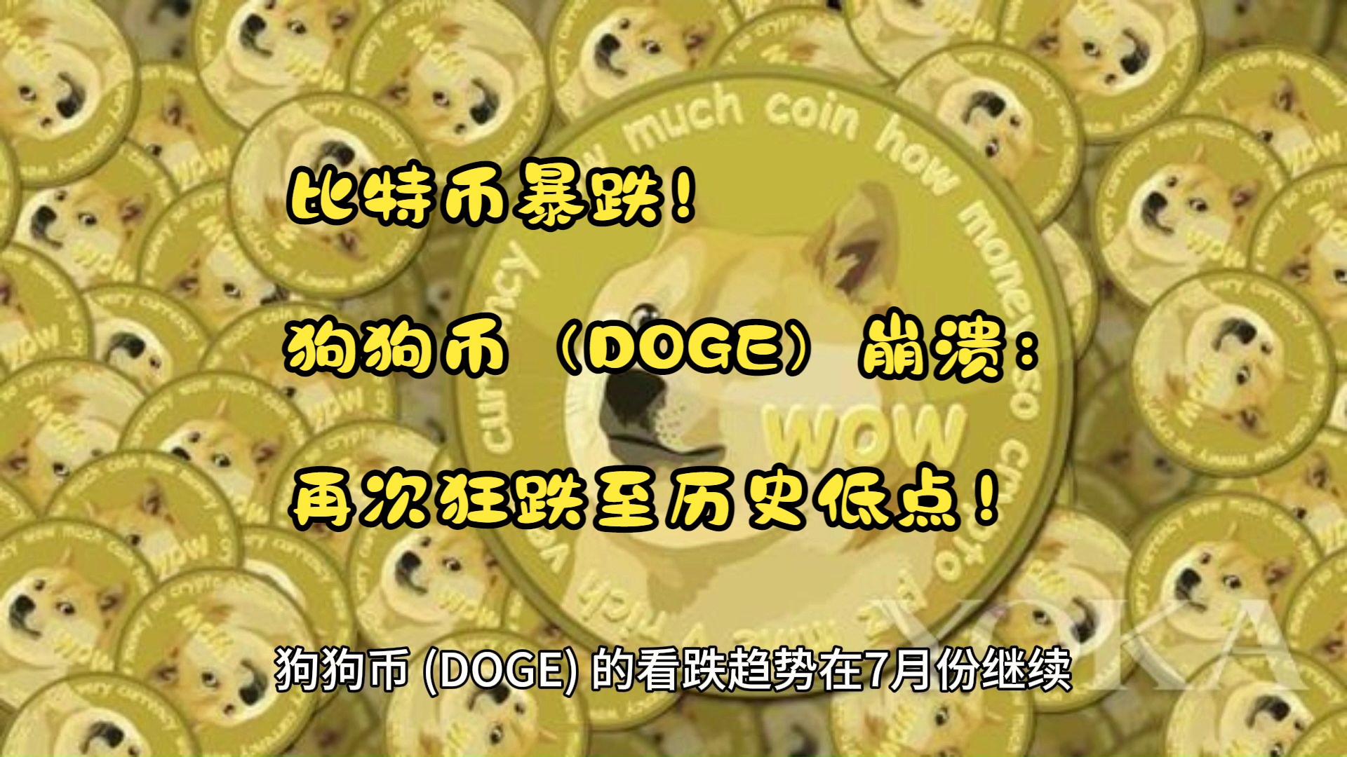doge币前景(dog币有前景吗)