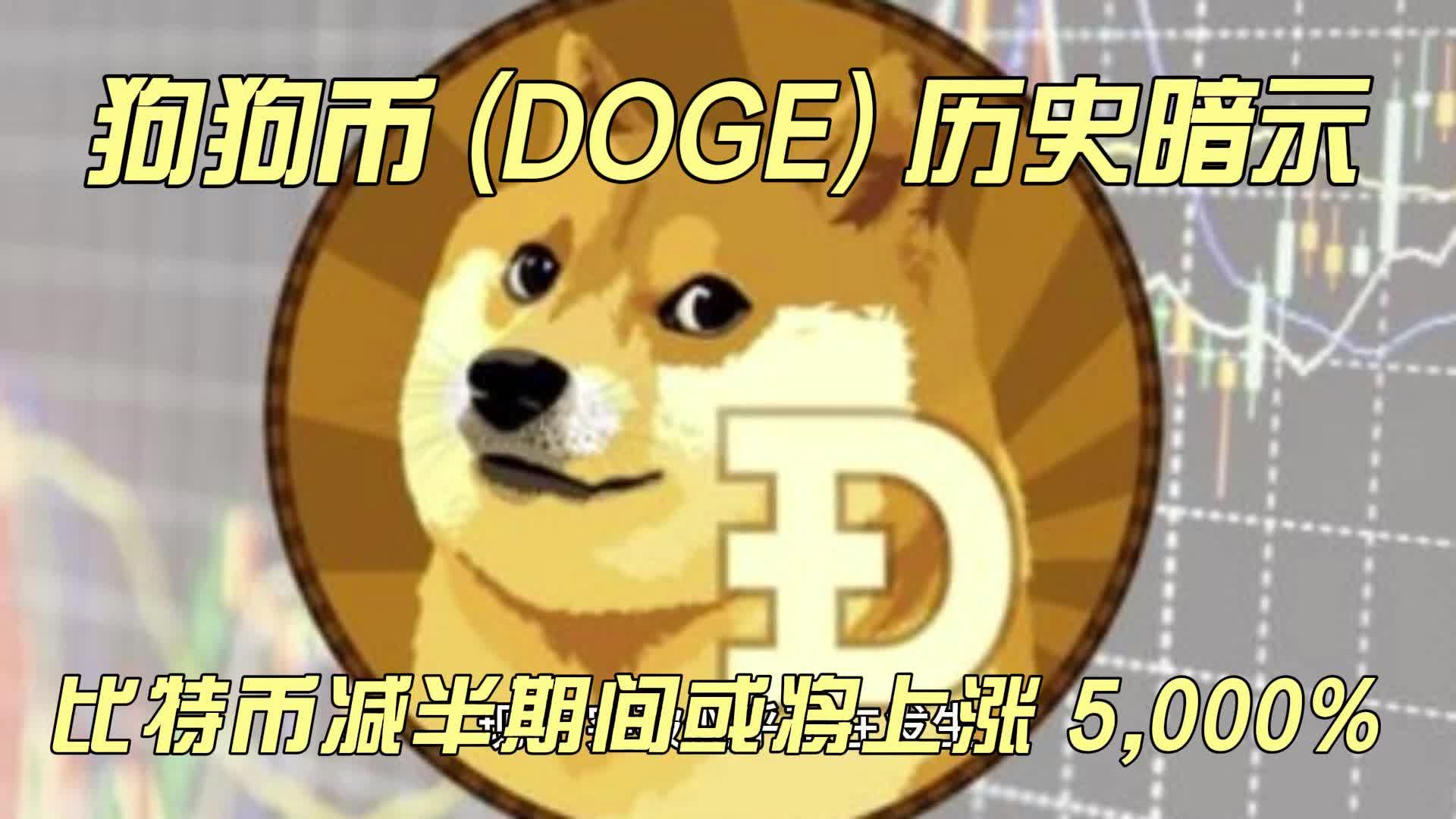 包含狗狗币是doge还是dot的词条