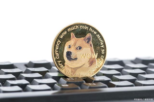 doge是山寨币吗(doggy是山寨币吗)
