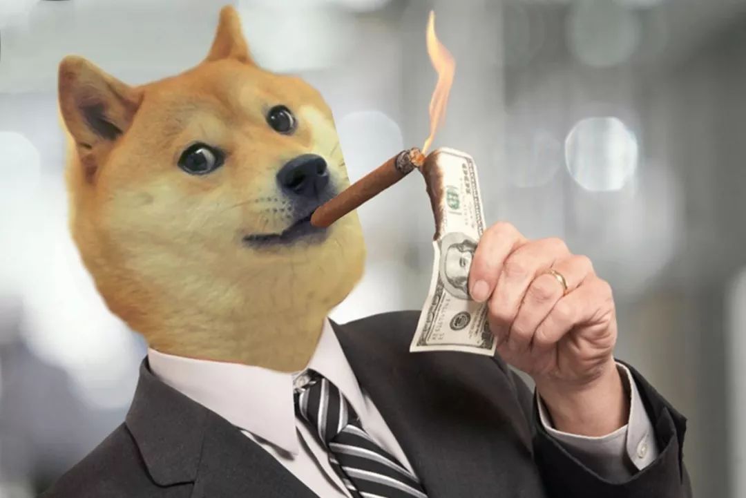 doge币超话(doggy币超话)