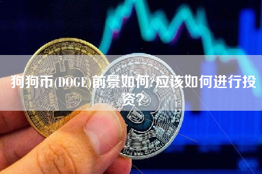 doge火币提币的简单介绍