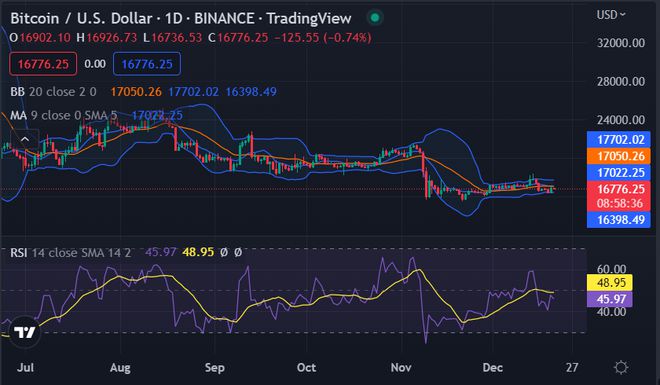 doge币17年行情分析(雷达币2019年分析今天价格)