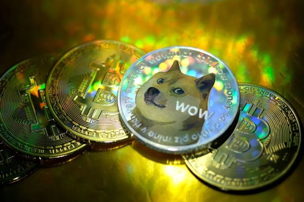 doge币行情币价(doge币价格今日行情)