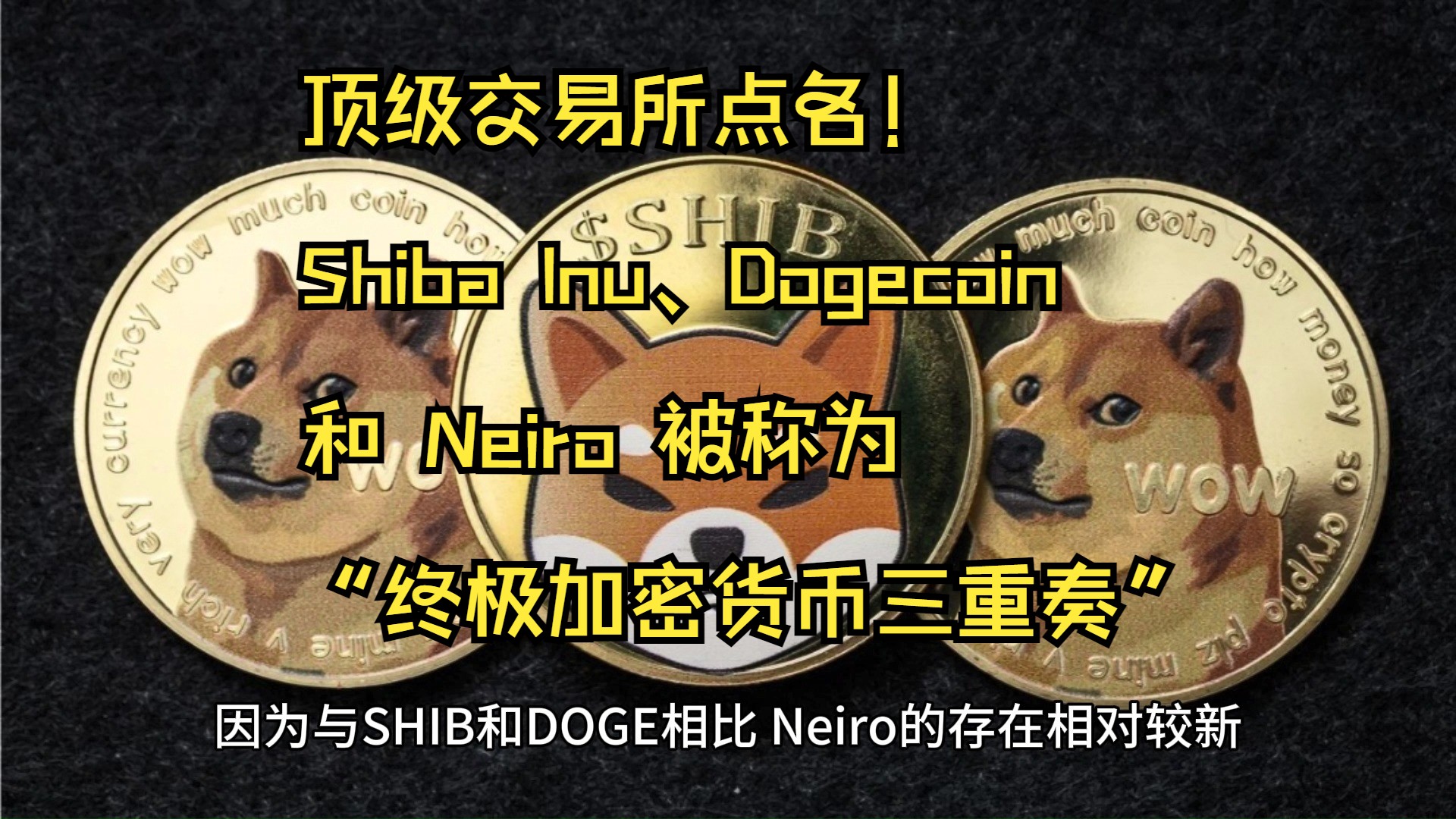 doge币钱包(dogecoin币)
