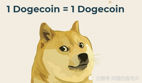 doge币可靠吗(doge这个币怎么样)