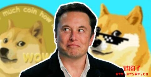 Doge币上罗宾汉(罗宾汉交易所要上线屎币吗)