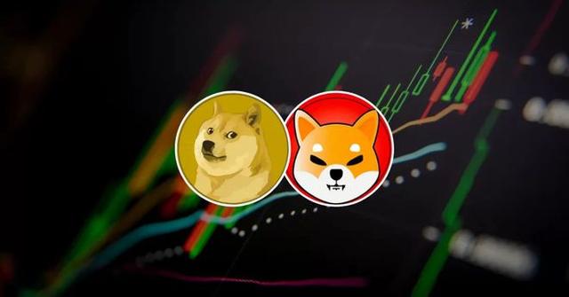doge币和dogeking(doge币和shib币哪个更有前景)