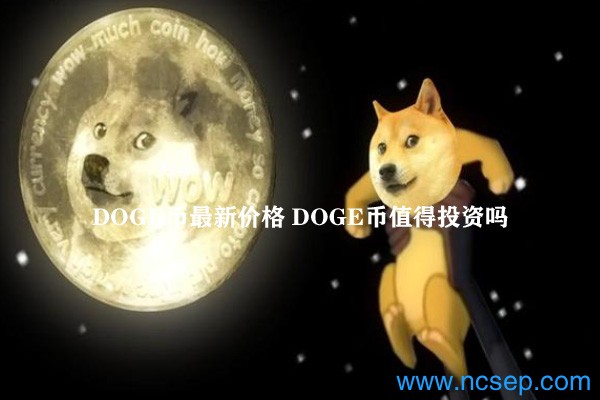 doge币交易平台前景的简单介绍