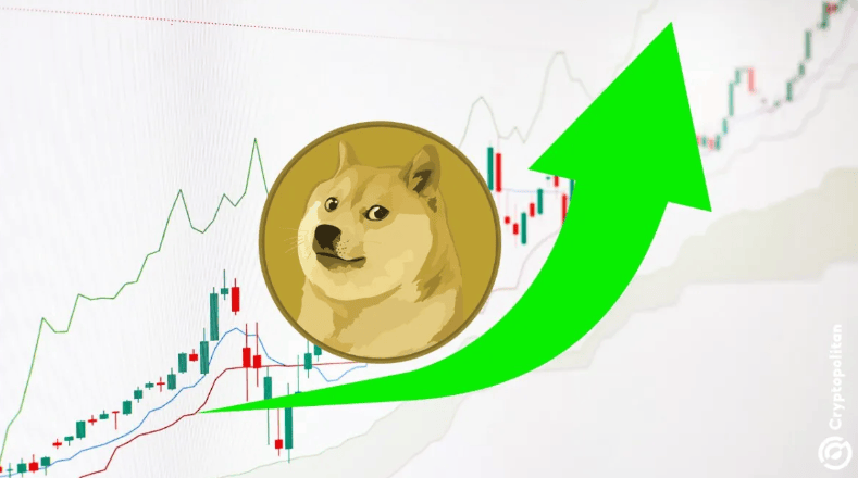 doge币历史最高价估值行情(doge币2021年能涨到多少)